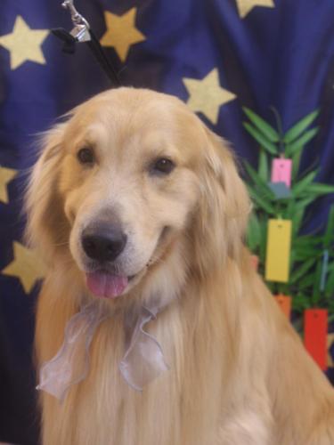 20230716BARON-Jr.くん